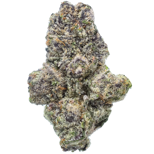 Close-up of a cannabis bud on a white background