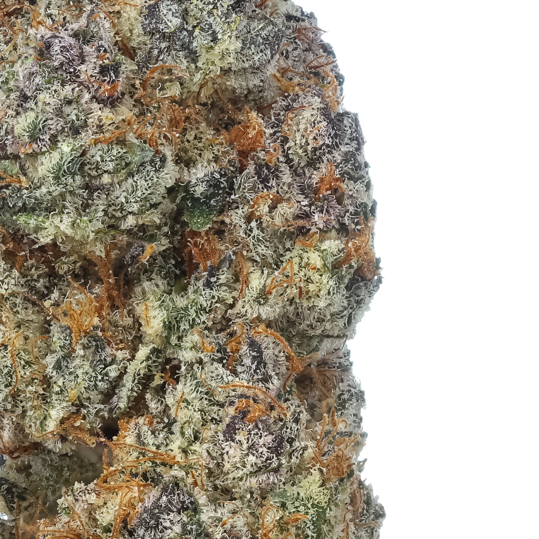Melonade | Flow Gardens
