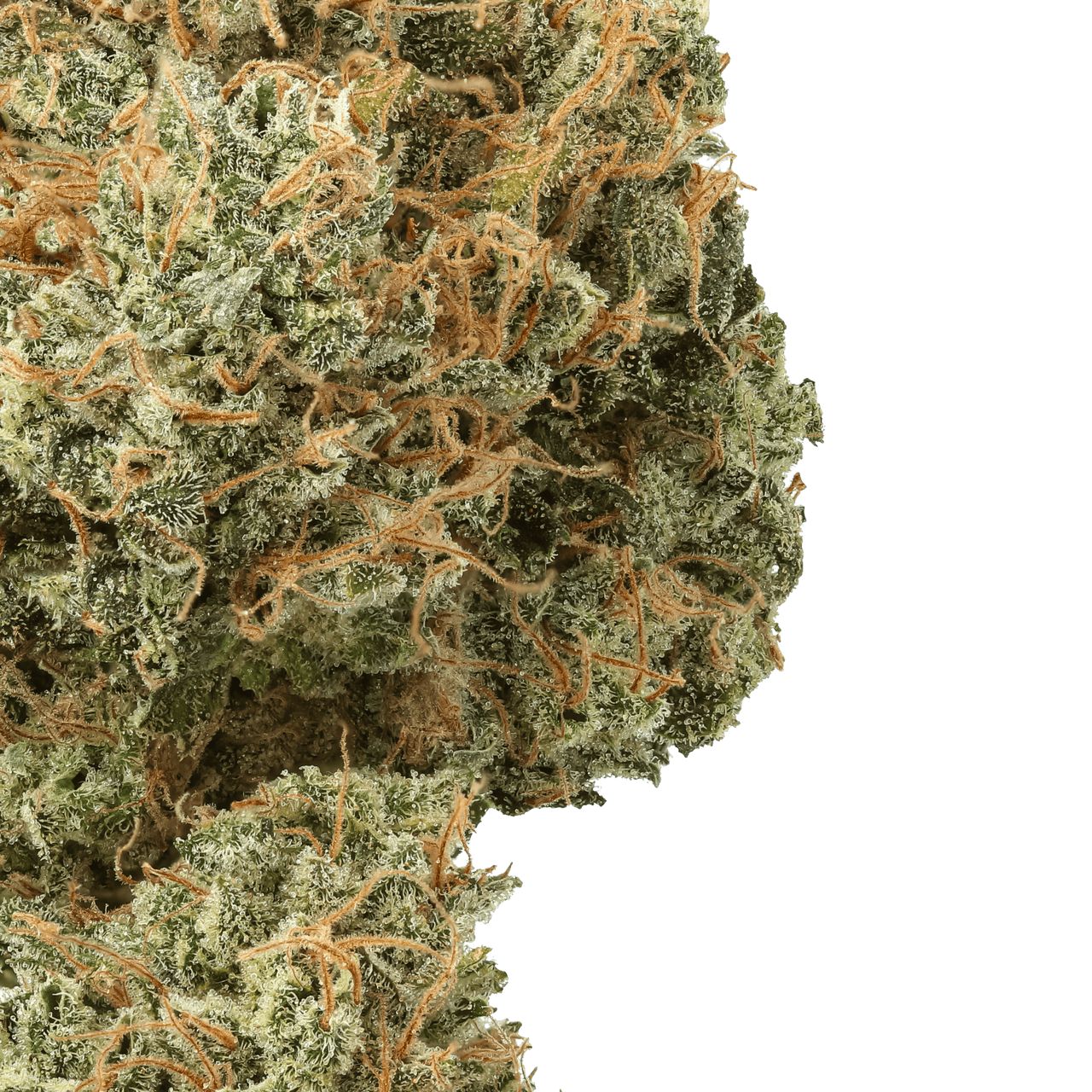 Muttzarella : Small Batch