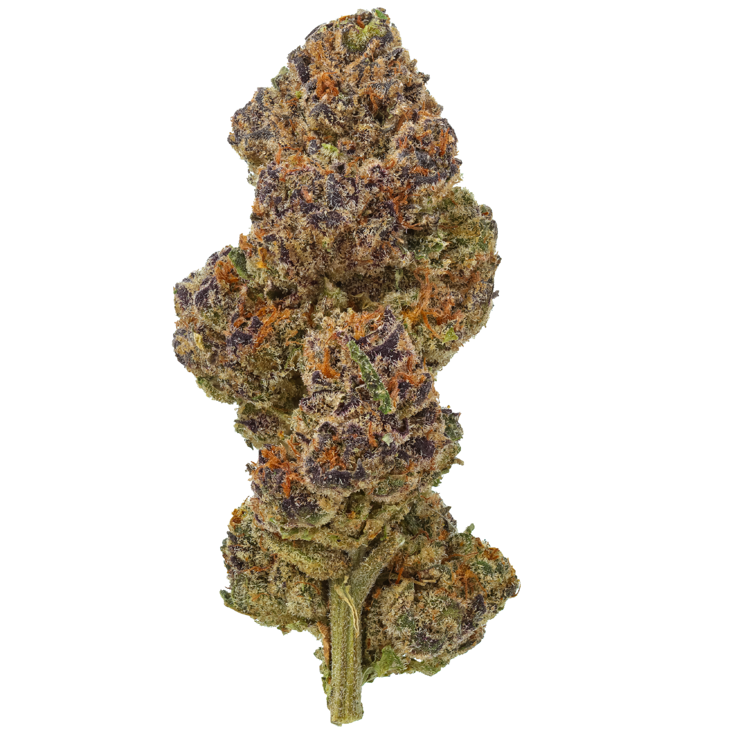 Orange Cookies