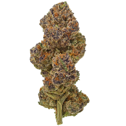 Orange Cookies