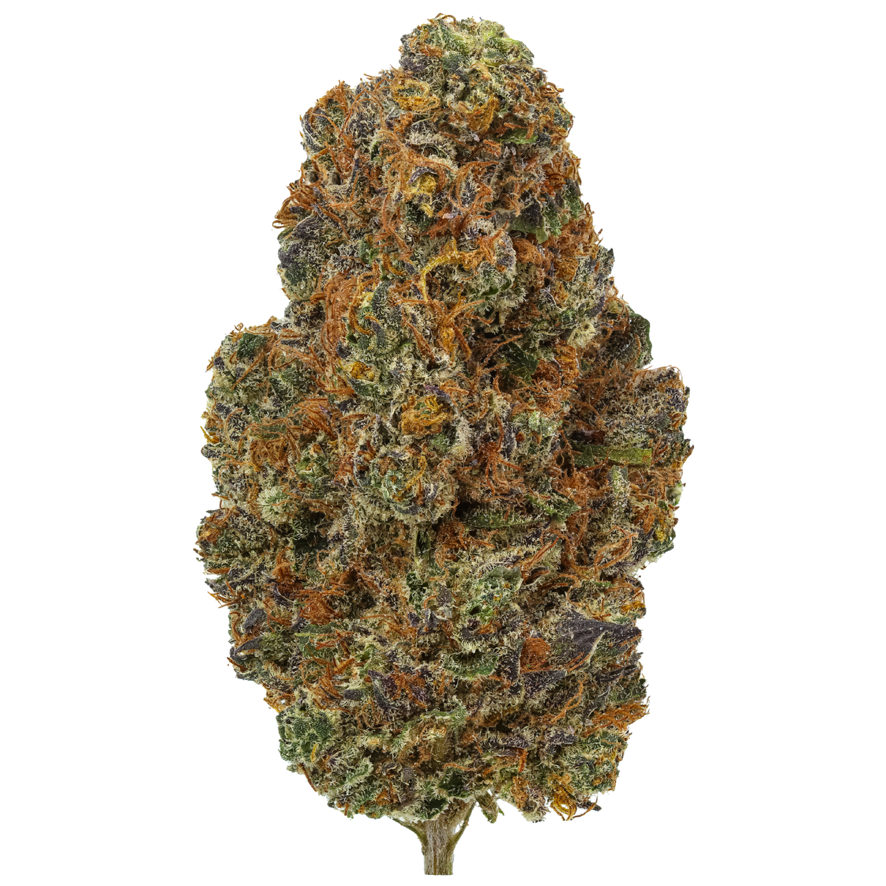 Panama Red Soda