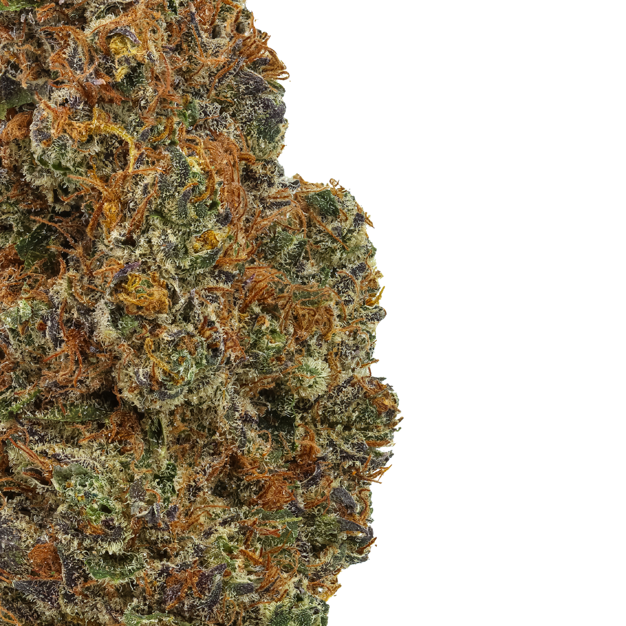 Panama Red Soda