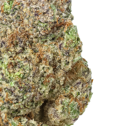 Close-up of a cannabis bud with green and orange hues