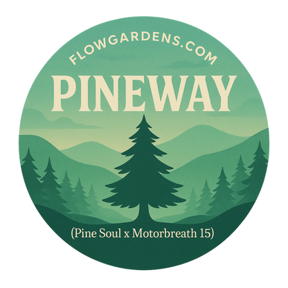 Pineway : Small Batch
