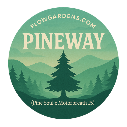 Pineway : Small Batch