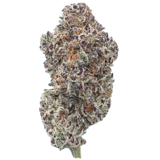 Pink Piña