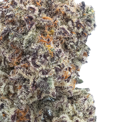 Pink Piña