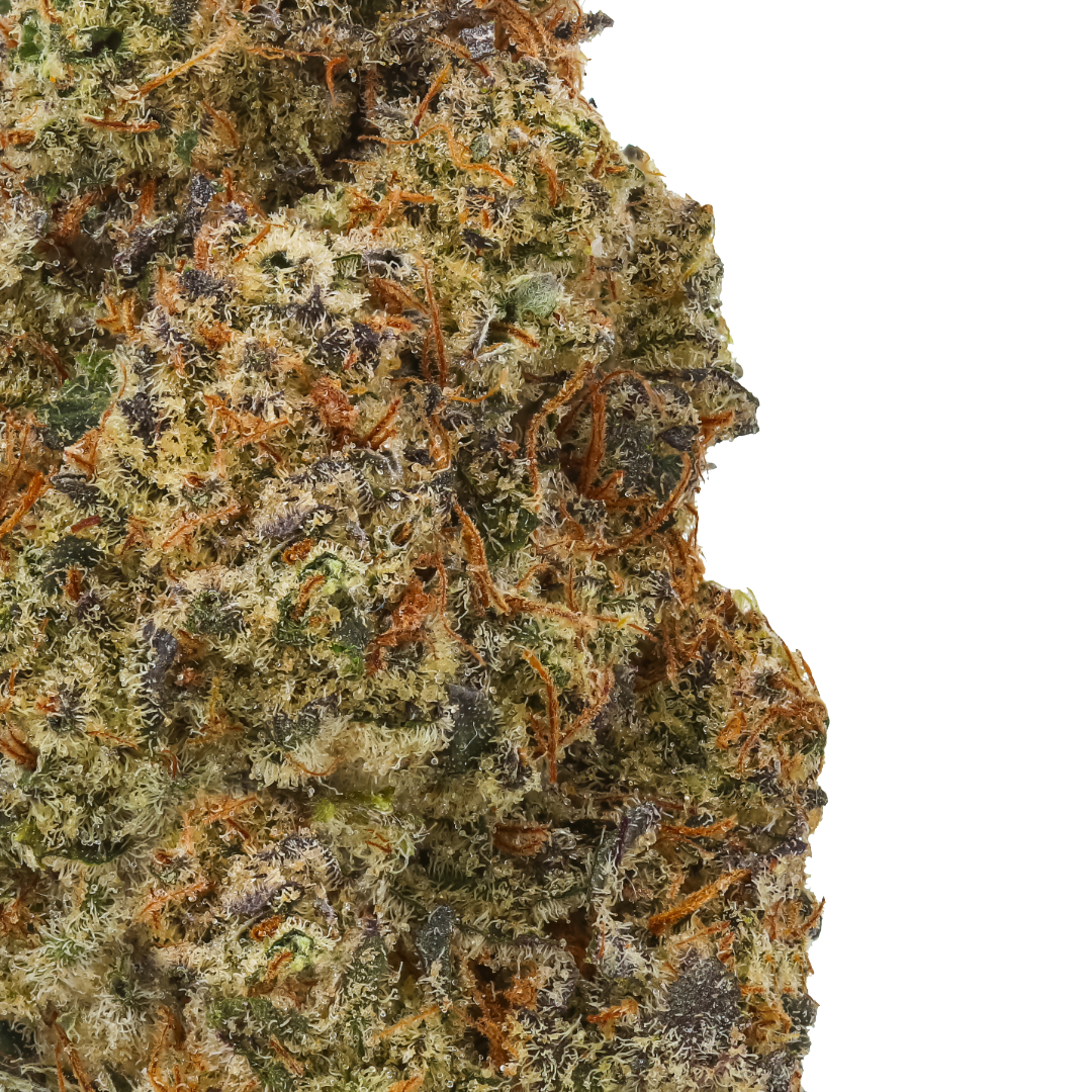 Pistachio 61