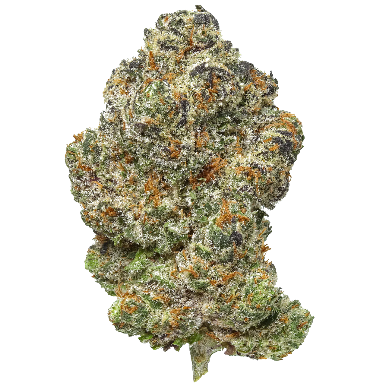 Platinum Lemon Cherry