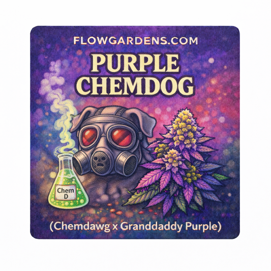 Purple Chemdog: Small Batch