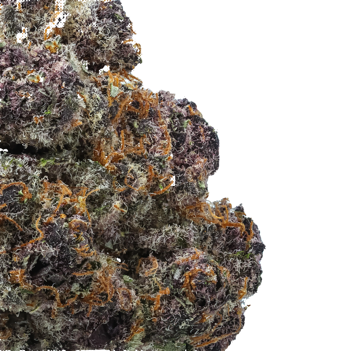 Purple Preserves
