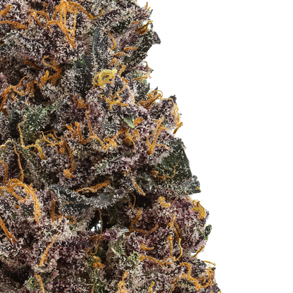 Rainbow Rose : Small Batch
