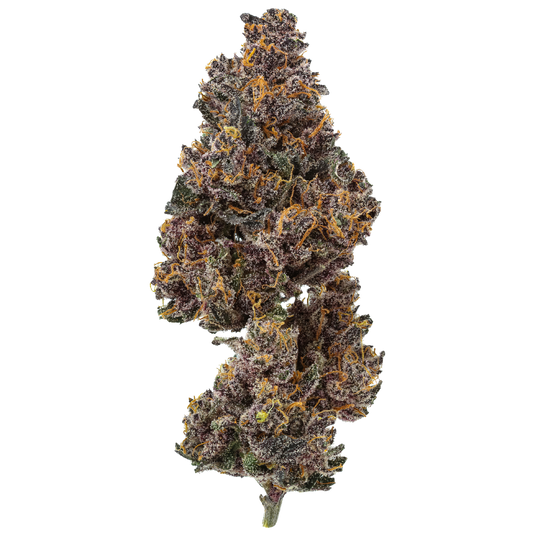 Rainbow Rose : Small Batch