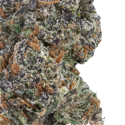 Close-up of a cannabis bud with trichomes