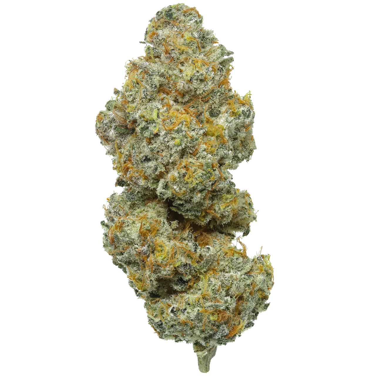 Smackers harvested flower, as labeled by the cited photo source