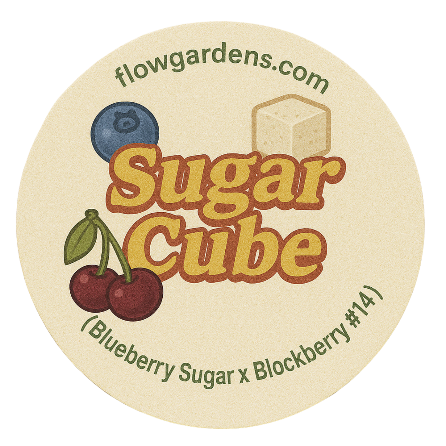 Sugar Cube: Small Batch