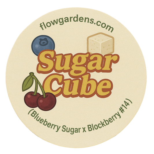 Sugar Cube: Small Batch