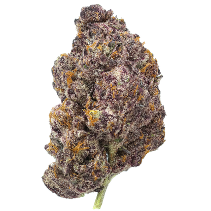 Close-up of a cannabis bud with orange trichomes on a white background