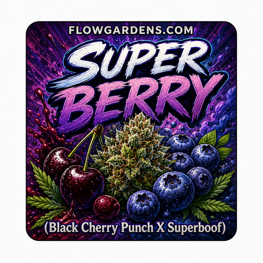 Super Berry: Small Batch