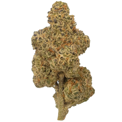 Super Runtz flower bud