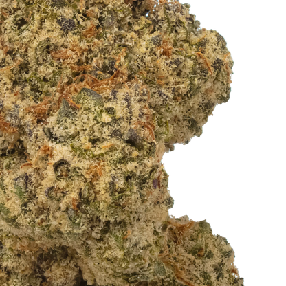 Super Runtz Flower bud zoomed in