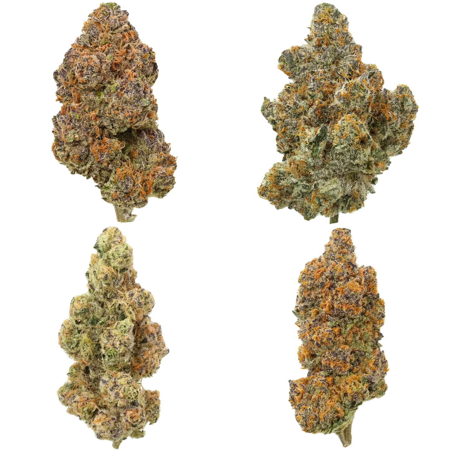 Four clumps of cannabis on a white background