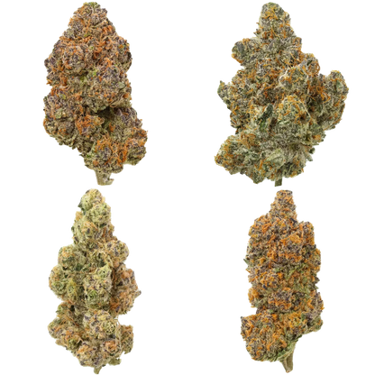 Four clumps of cannabis on a white background