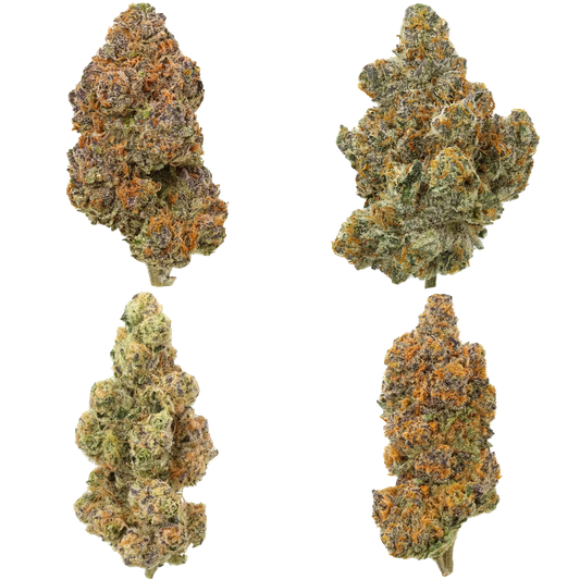 Four clumps of cannabis on a white background