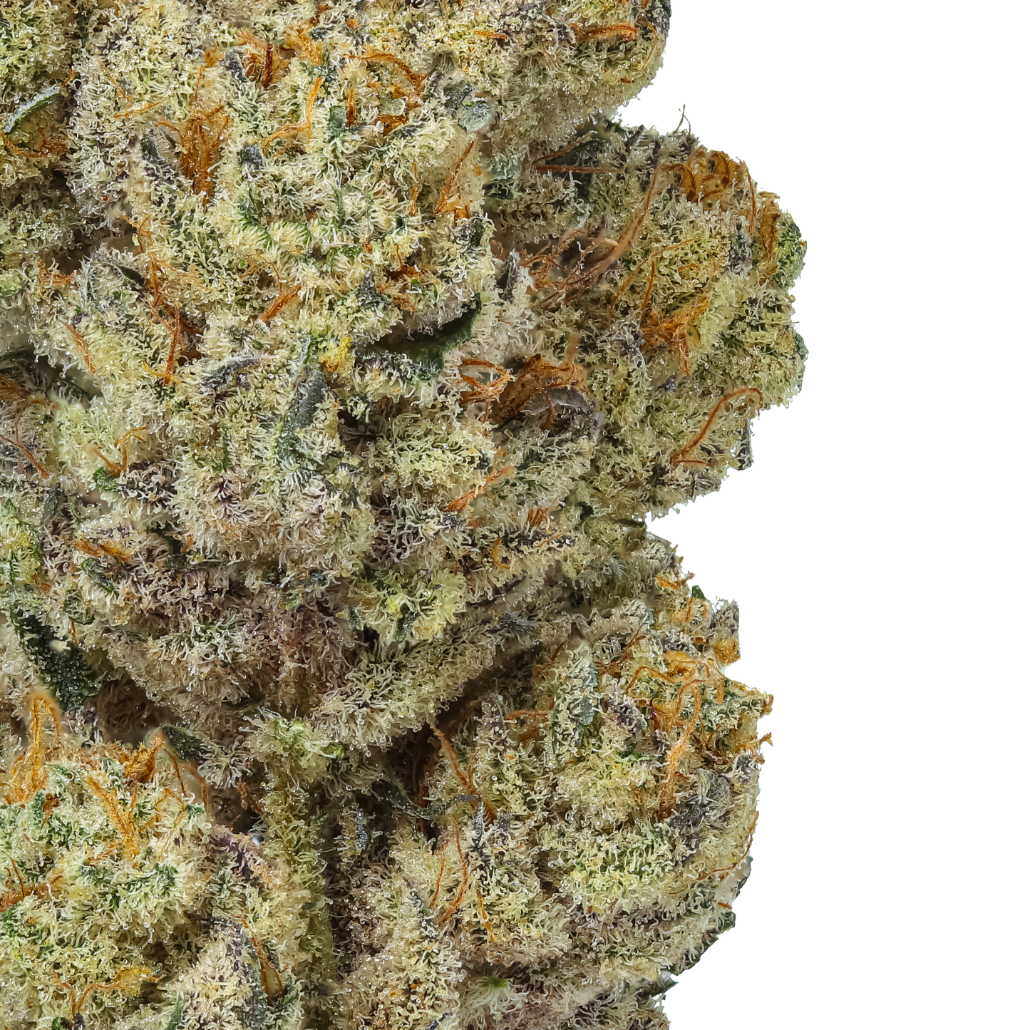 Tangerine Dream