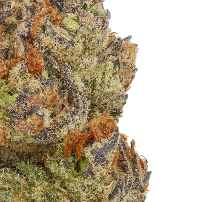Tropic Thunder Funk