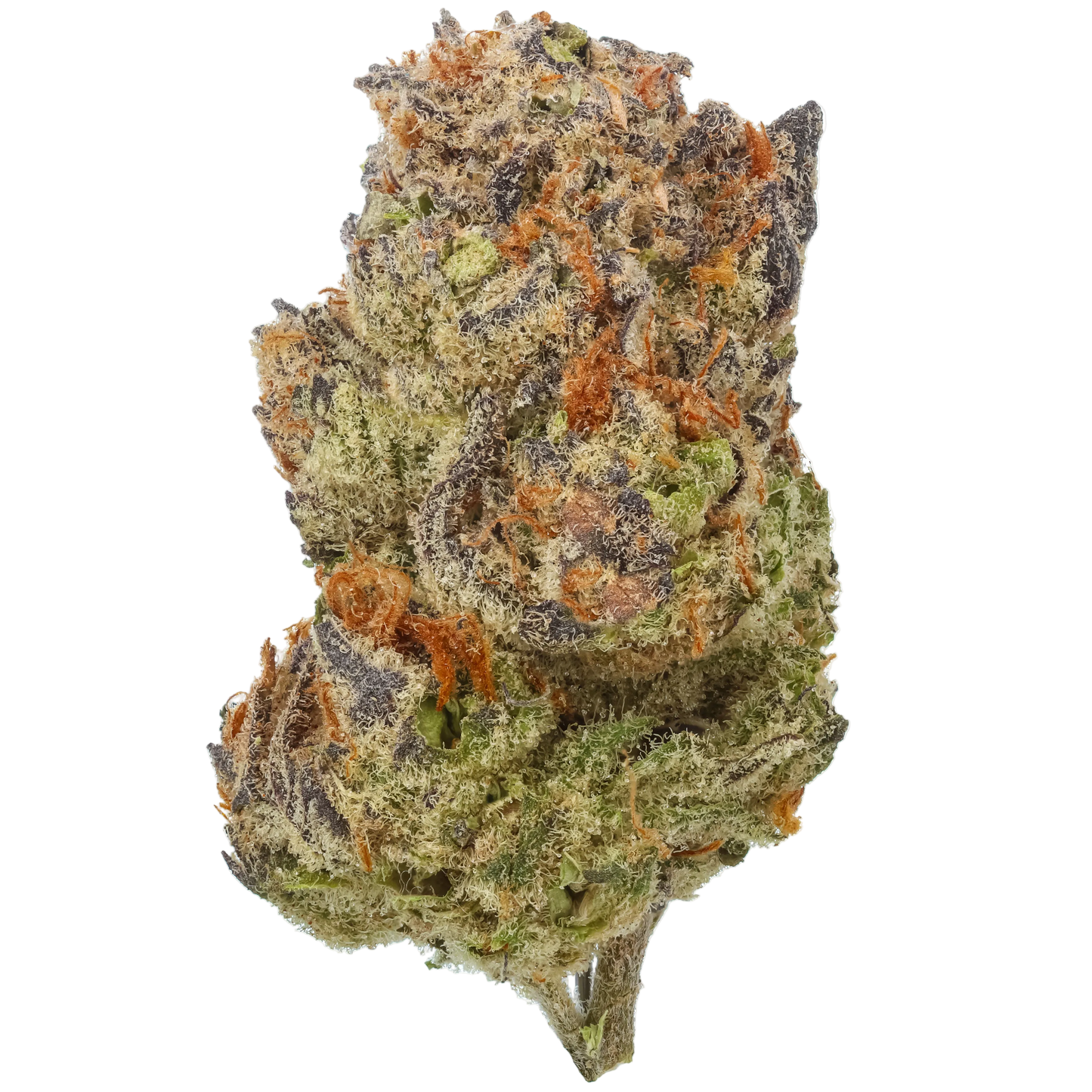 Tropic Thunder Funk