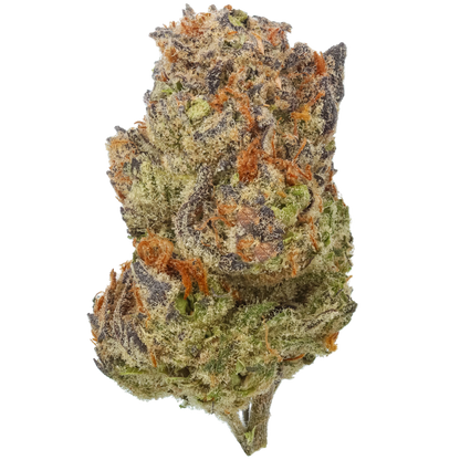 Tropic Thunder Funk