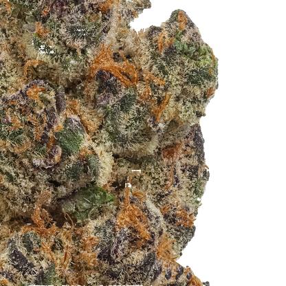 Close-up of a cannabis bud with green, orange, and brown colors
