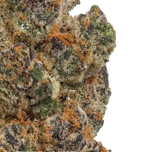 Close-up of a cannabis bud with green, orange, and brown colors