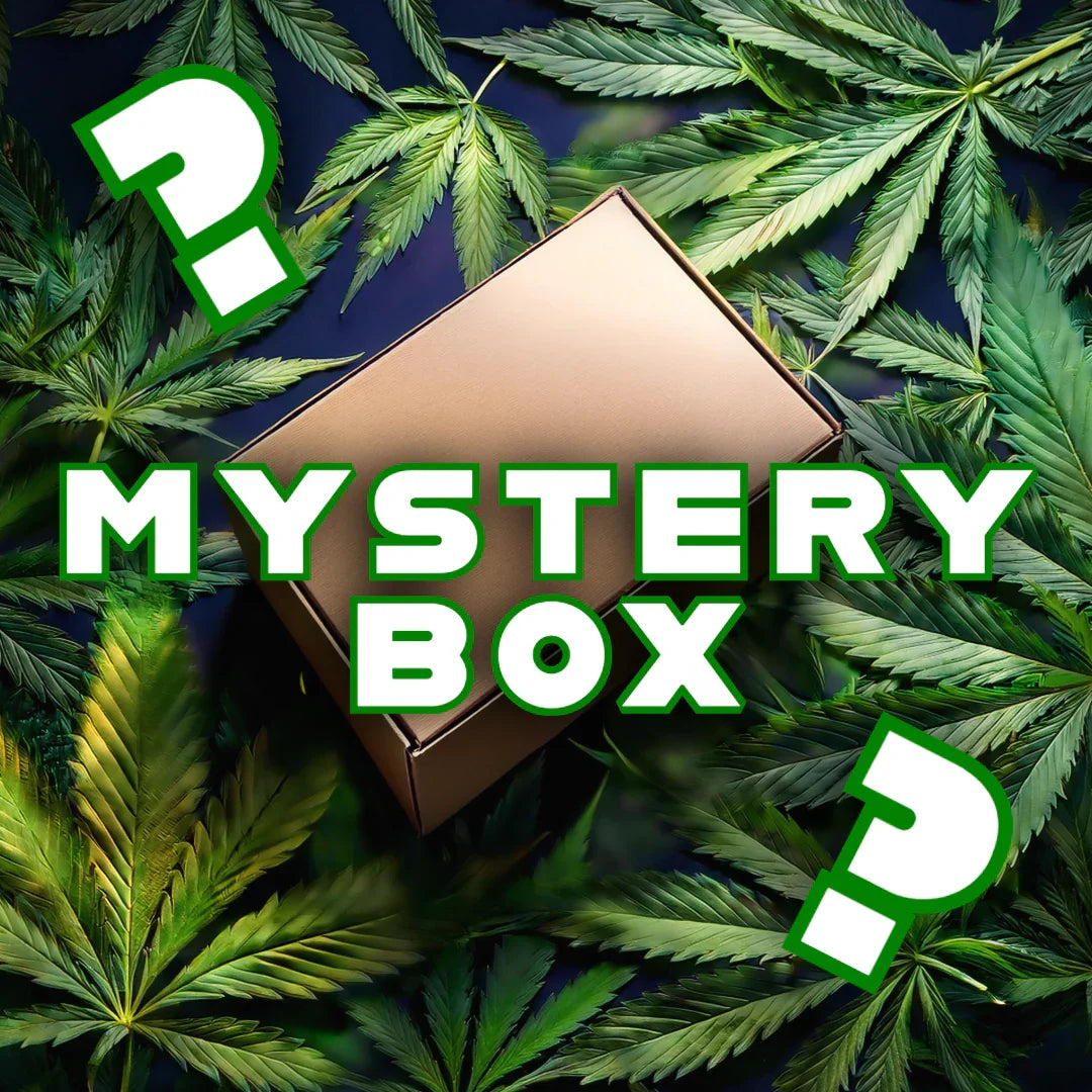 Cannabis leaf mystery box with question marks and bold text, surrounded by green marijuana leaves