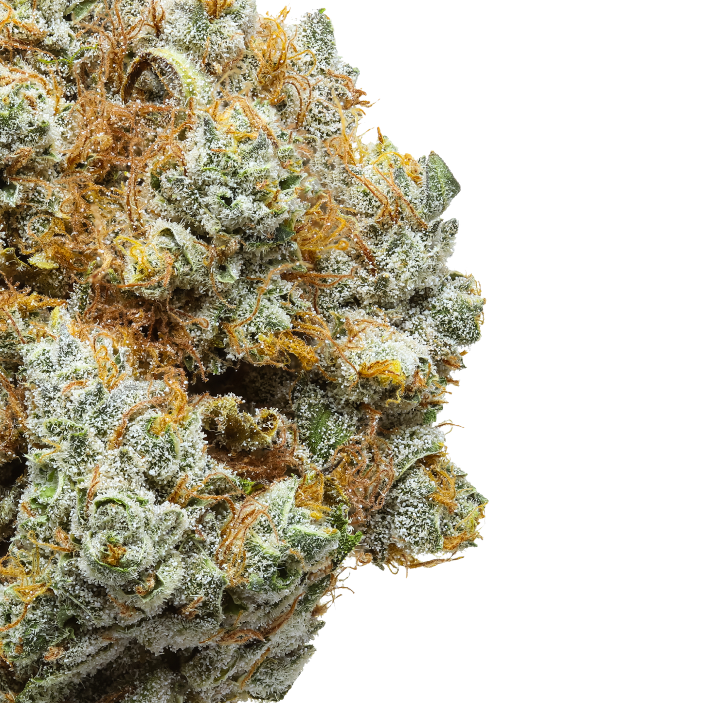 White Cheddar