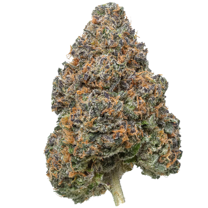 Apple Jax