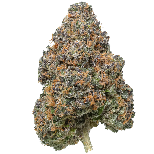 Apple Jax