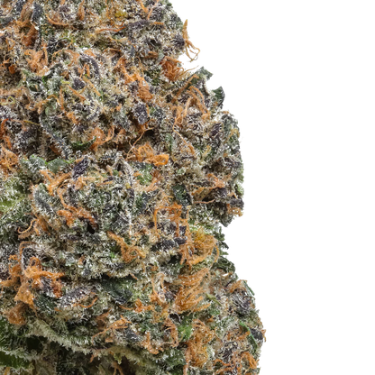 Apple Jax