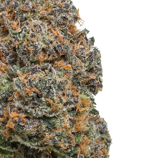 Apple Jax