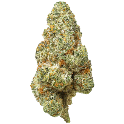 Bacio Gelato