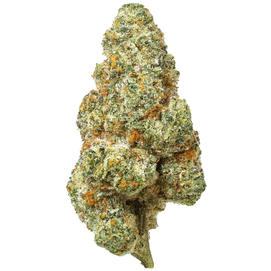 Bacio Gelato