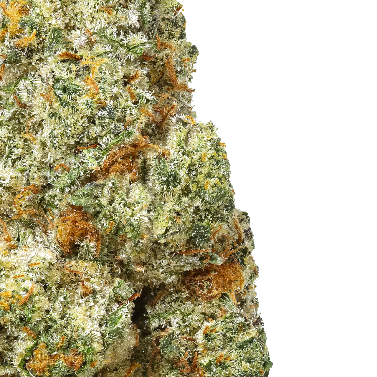 Bacio Gelato