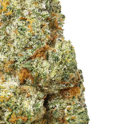 Bacio Gelato