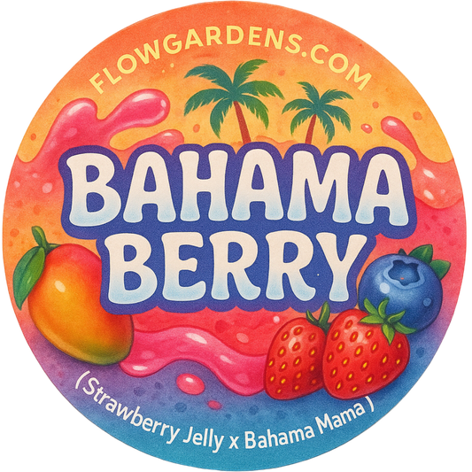 Round label for Bahama Berry with colorful design and text