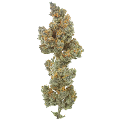 Bahama Berry: Small Batch