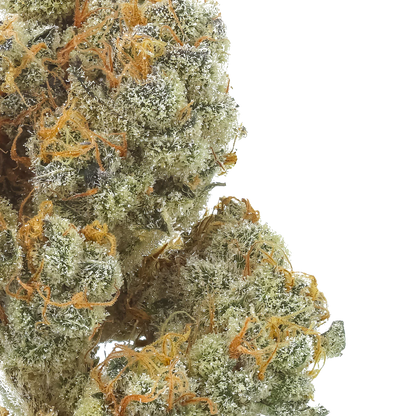 Bahama Berry: Small Batch