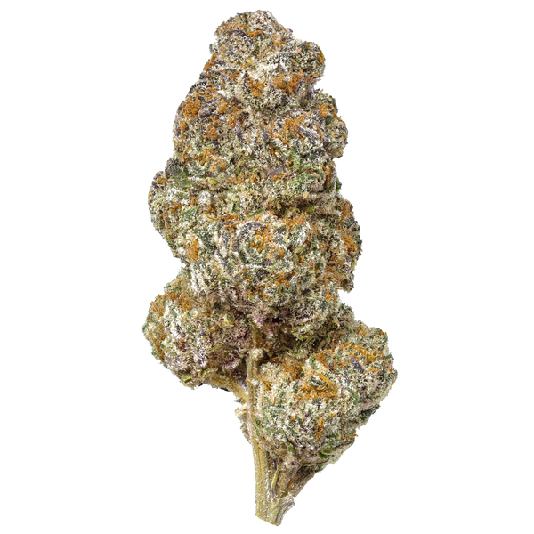 Black Betty – Flow Gardens