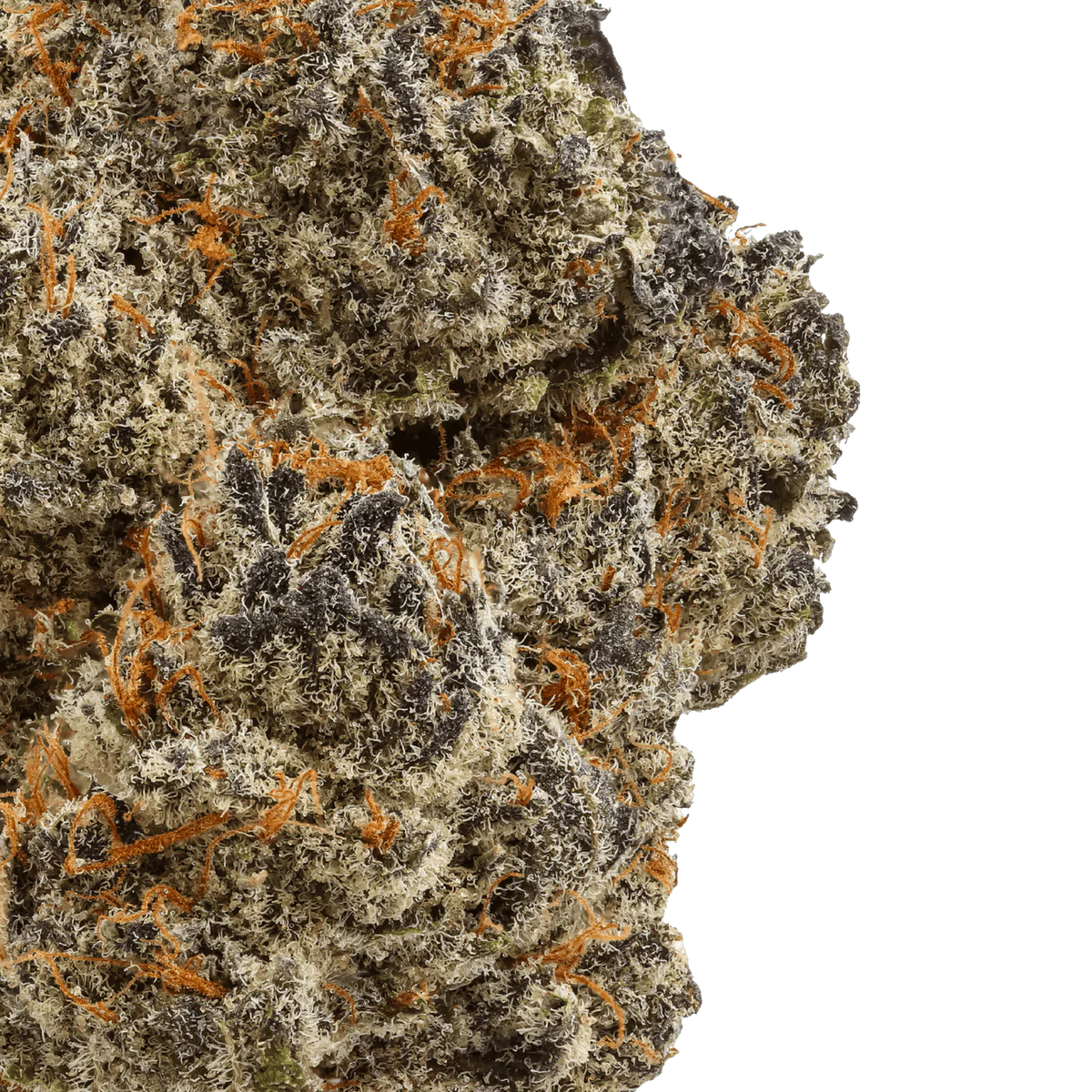 Black Cherry Punch
